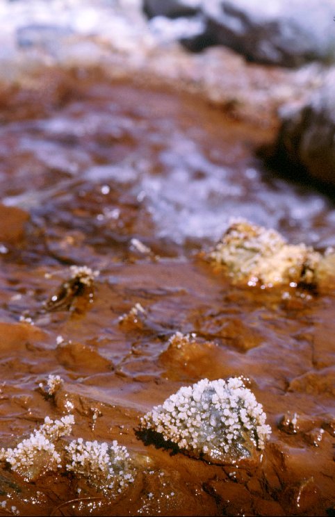  Incrostazioni di gesso in prossimità di sorgenti ferruginose